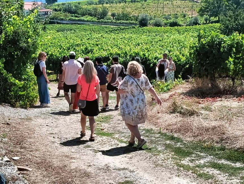 Porto: Douro Valley Tour with 2 Wineries, Lunch, & Boat Trip - Discovering the Douro Valley: What to Expect
