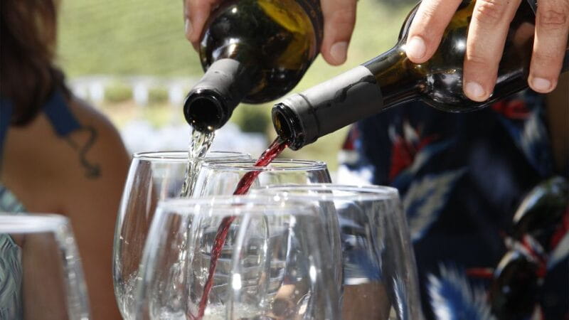 Porto: Douro Valley Tour with 3 vineyards and lunch. - Visiting the Wineries: A Taste of Portuguese Heritage