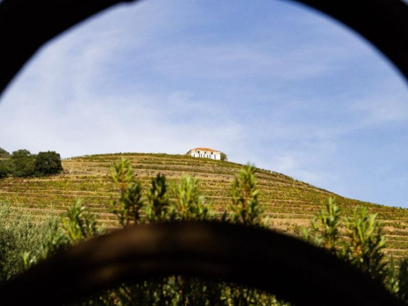 Porto: Douro Valley Tour with 3 vineyards and lunch. - Transportation and Logistics