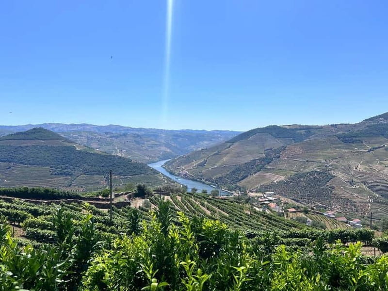 Porto: Douro Valley Tour with 3 Wineries and Lunch - Exploring the Vineyards: From the First Stop to the Last