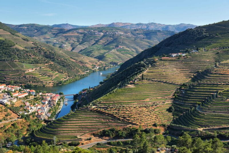 Porto: Douro Valley Wine Tour with a Sommelier & Boat Trip - Discovering the Douro Valley: A Wine Lover’s Dream