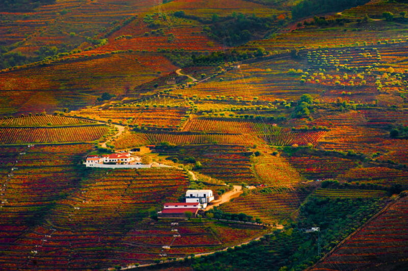 Porto: Douro Valley Wine Tour with a Sommelier & Boat Trip - The Wine Stops: Authenticity and Variety