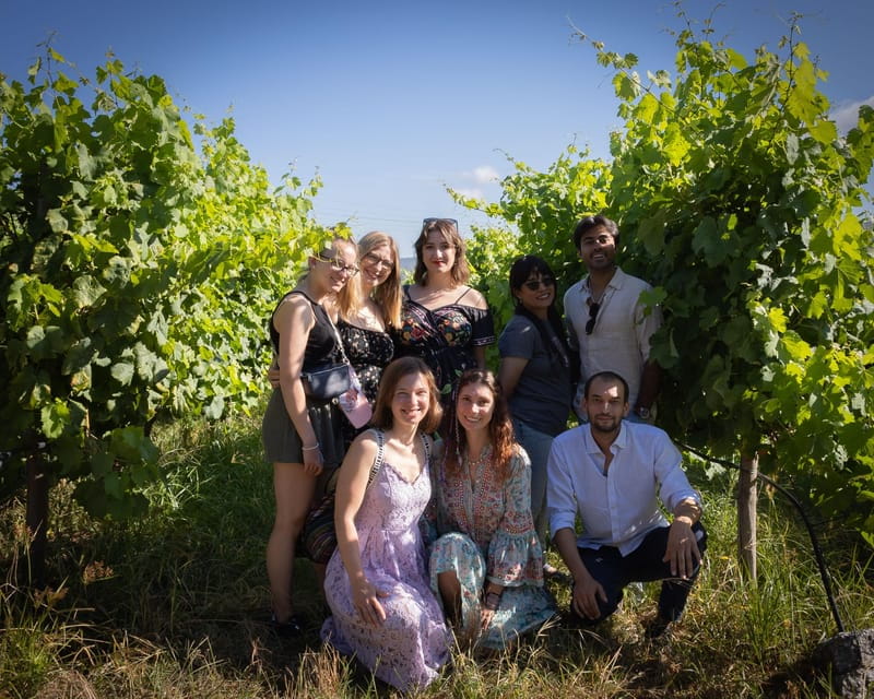 Porto: Douro Valley Wine Tour with a Sommelier & Boat Trip - Lunch and Food Pairings: Local Flavors and Comfort