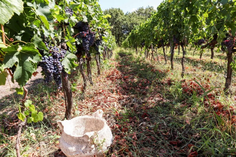 Porto: Douro Valley Wine Tour with a Sommelier & Boat Trip - The Guide and Group Size: Personal and Knowledgeable