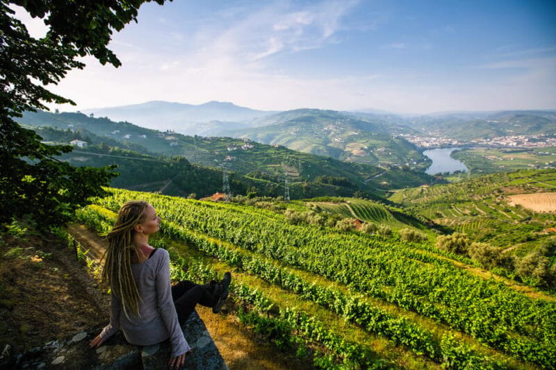 Porto: Douro Valley Wine Tour with a Sommelier & Boat Trip - Who Will Love This Tour?