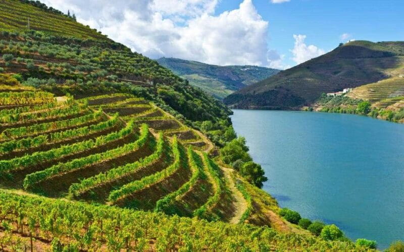 Porto: Douro Valley Wine Tour with Lunch, Tastings & Cruise - Final Thoughts: Is This Tour Worth It?