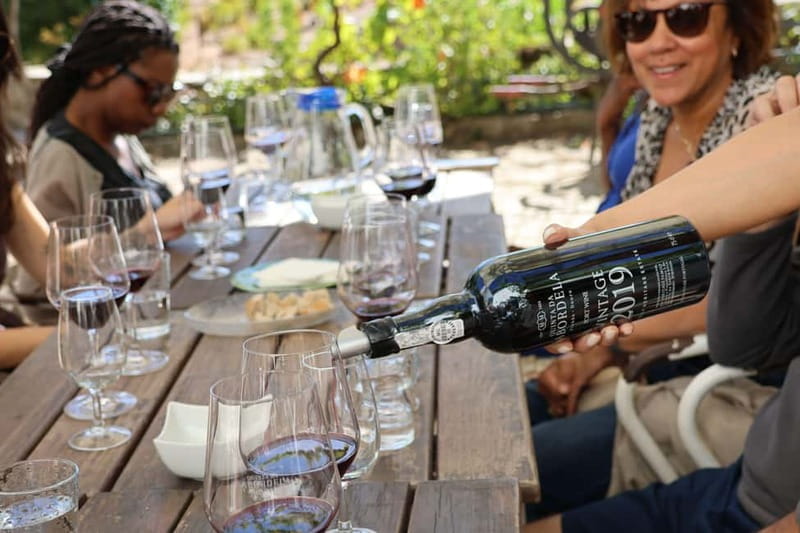 Porto: Douro Valley with Small Wineries, Lunch and Boat Tour - Key Points / Takeaways