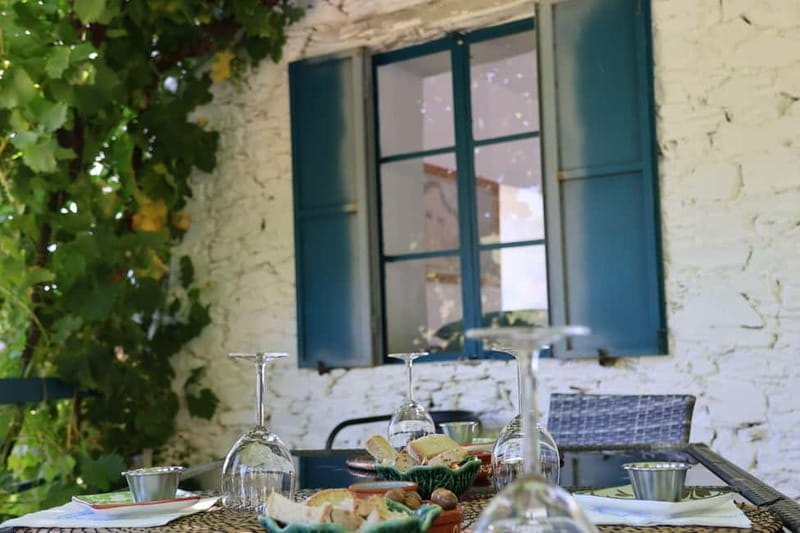 Porto: Douro Valley with Small Wineries, Lunch and Boat Tour - The Unforgettable Douro River Boat Cruise