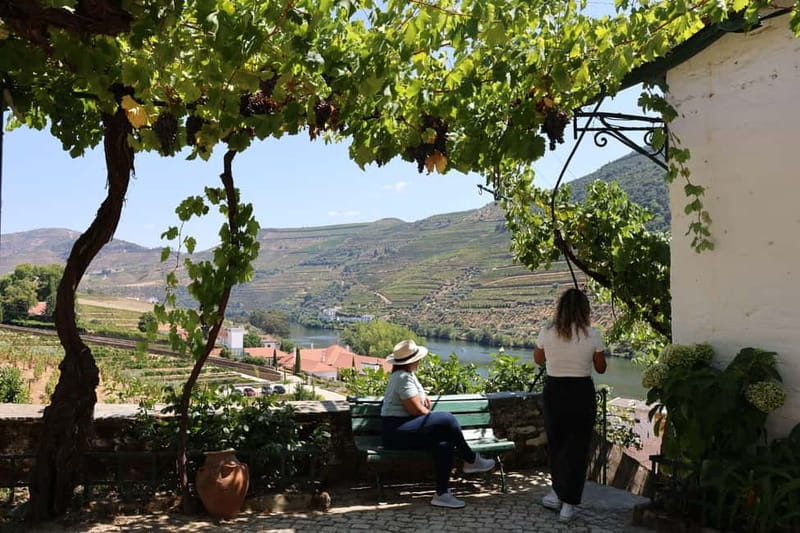 Porto: Douro Valley with Small Wineries, Lunch and Boat Tour - Scenic Drive Through the Douro: Post-Lunch Highlights