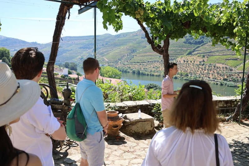 Porto: Douro Valley with Small Wineries, Lunch and Boat Tour - Who Is This Tour Best For?