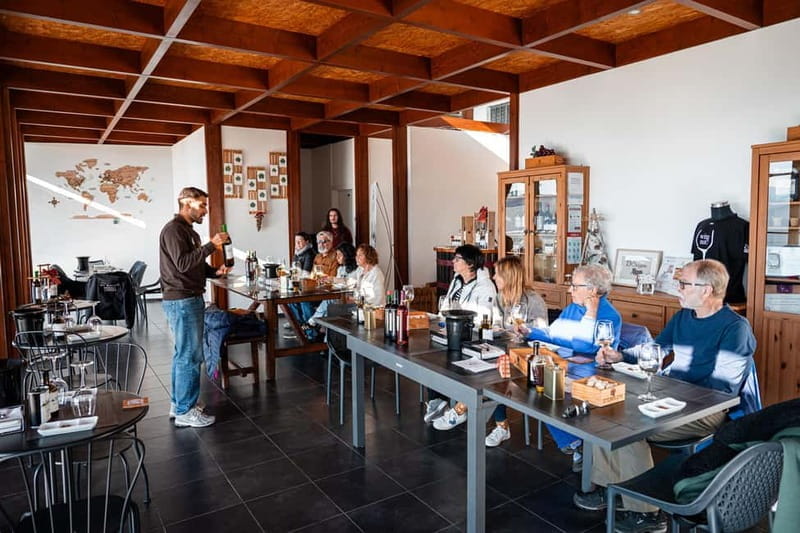 Porto: Douro Wine Tour with Lunch and River Cruise - The Value: How It Compares to DIY Trips