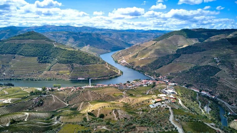 Porto: Douro Wine Tour with Lunch and River Cruise - Who Will Love This Tour?