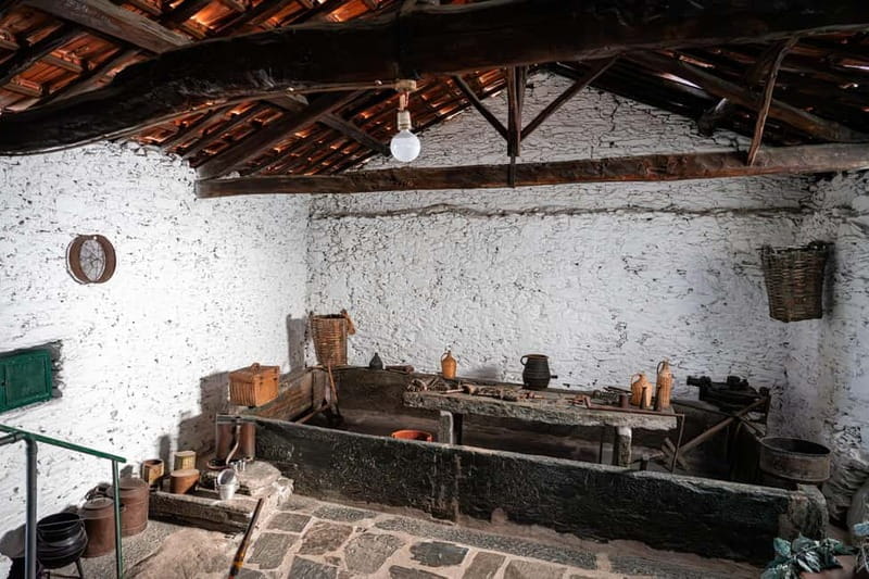 Porto: Douro Wine Tour with Lunch and River Cruise - Final Thoughts: Why This Tour Is Worth Considering