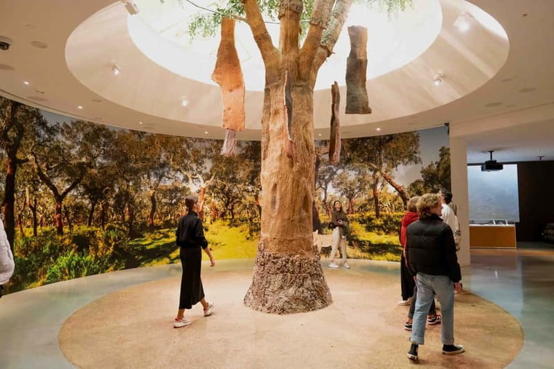 Porto: Entry Ticket at WOW - Planet Cork Museum - Who Should Visit?