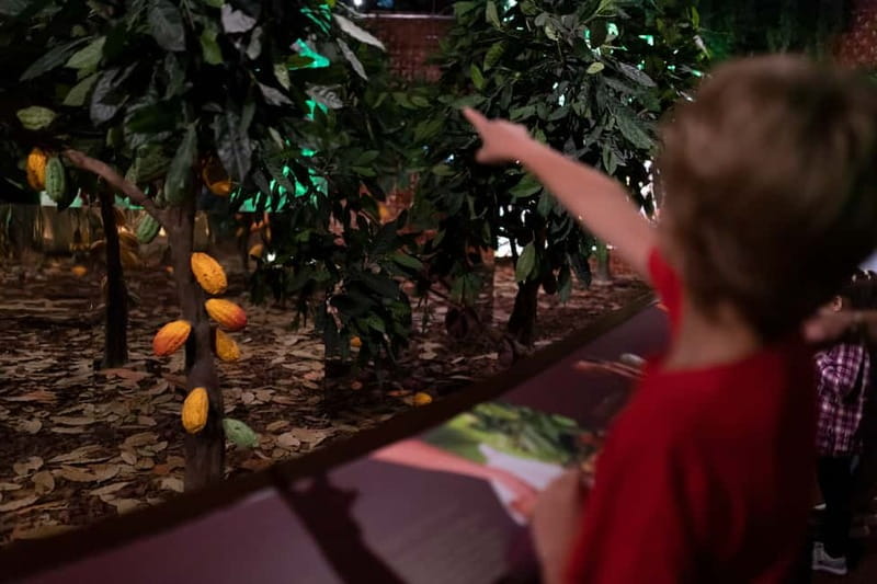 Porto: Entry Ticket at WOW The Chocolate Experience by 20|20 - Practicalities: Cost, Timing, and Accessibility