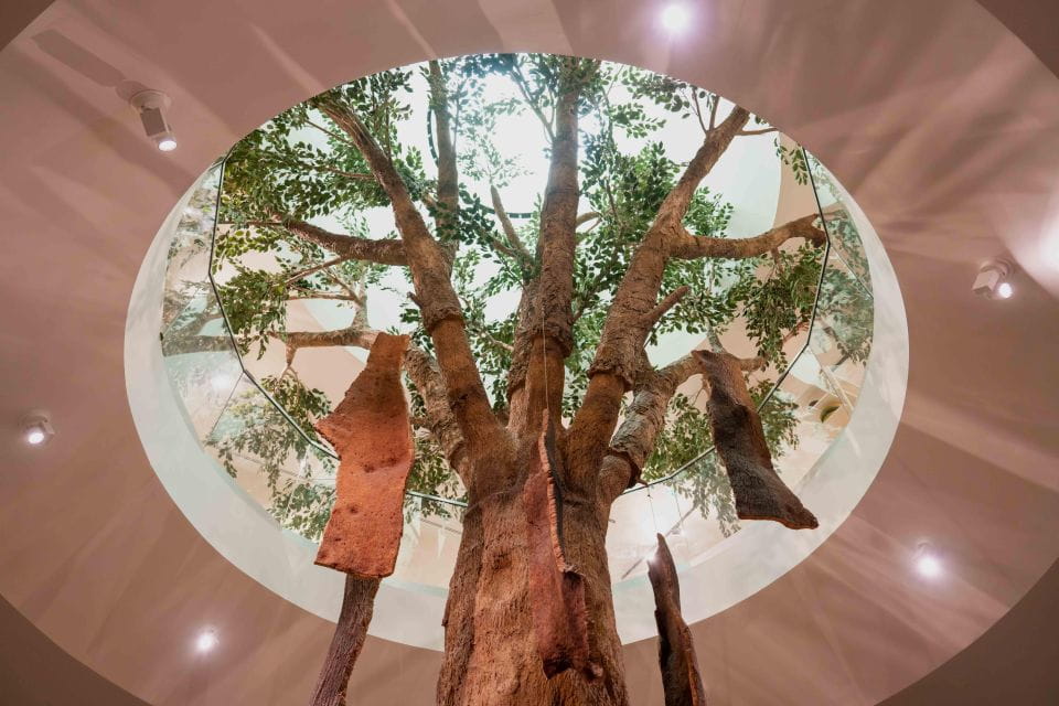 Porto: Fonseca Cellar Tour + WOW Museum Pack - Key Points