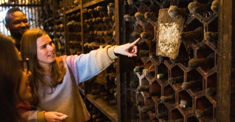 Porto: Food & Wine Tasting Walking Tour with Port Wine Cave - Who is This Tour Best For?