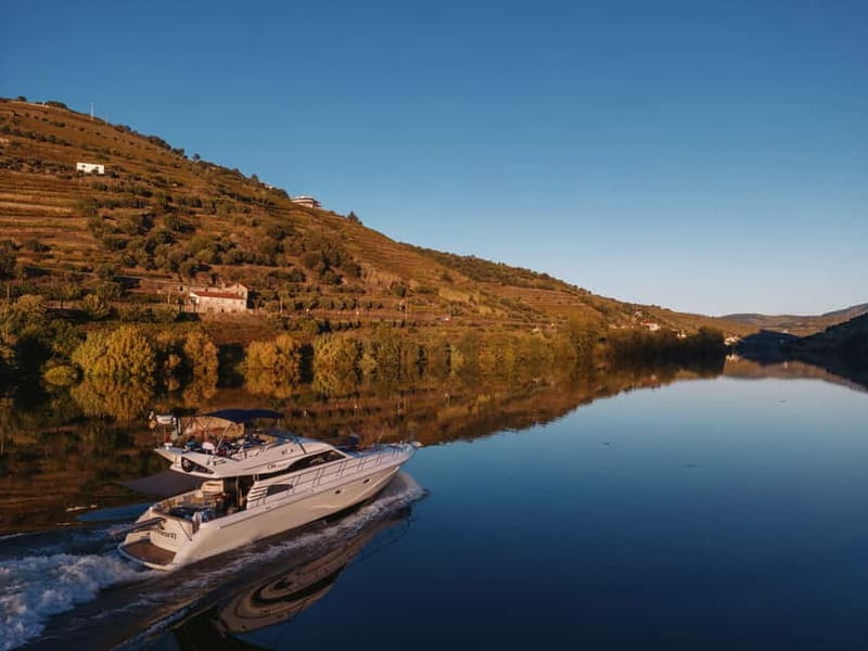 Porto: Full Day Douro River Cruise from Porto to Régua - Key points / Takeaways