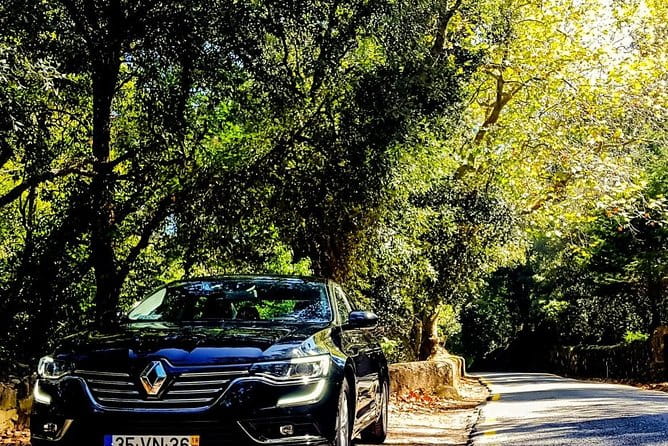 Porto Full Day Private Tour from Lisbon - The Grandeur of Palácio da Bolsa