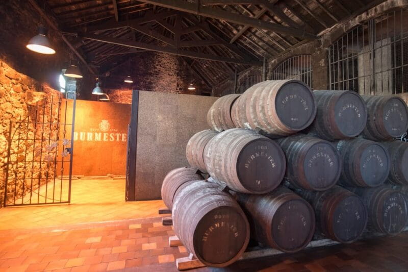 Porto: Half-Day Tour with Port Wine Cellar Visit and Tasting - Key Points / Takeaways