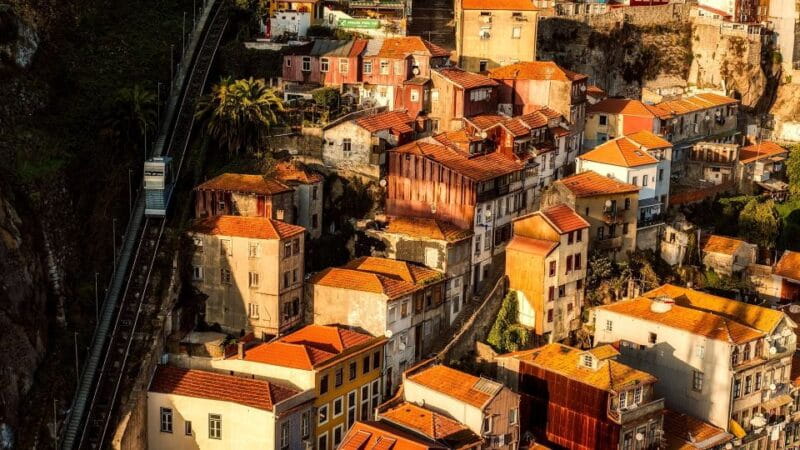 Porto Half Day Walking Tour: River Cruise & Wine Tasting - Who Will Love This Tour?