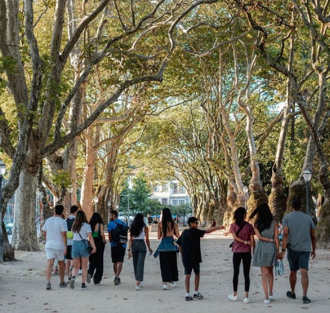 Porto: Harry Potter and City of Porto Guided Walking Tour - Exploring Portos Magical Locations