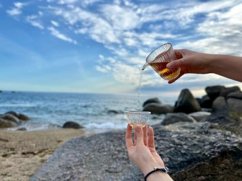 Porto: Oceanfront Tea Meditation Experience - Who Will Love This Experience?