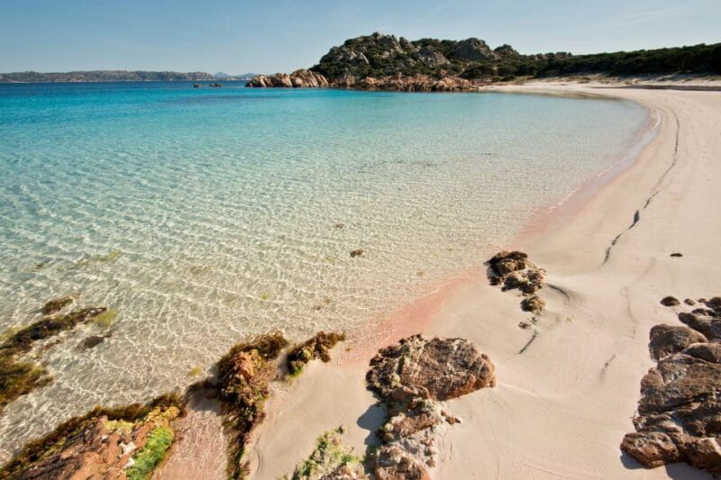 Porto Pollo: La Maddalena Islands Snorkeling Tour - Final Thoughts: Who Should Book?