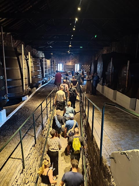 Porto: Port and Douro Wine Walking Tour with Tastings - A Close Look at the Porto: Port and Douro Wine Walking Tour