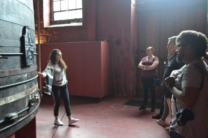 Porto: Port and Douro Wine Walking Tour with Tastings - Who Will Love This Tour?