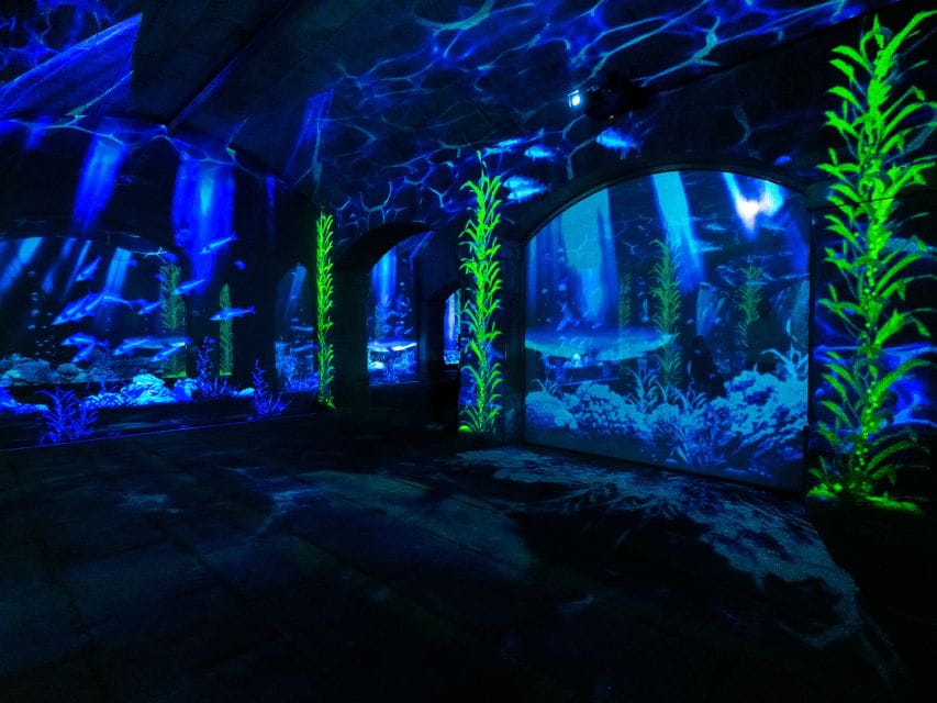 Porto: Porto Legends The Underground Experience - Duration and Tickets