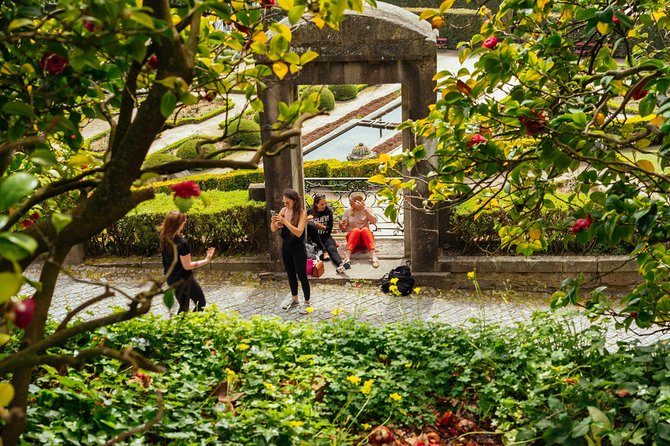 Porto Private City Tour: Highlights or Harry Potter Hidden Gems - Discovering Hidden Gems