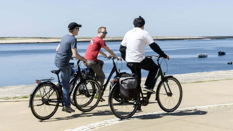 Porto Private E-Bike Tour: Douro River, Parks & Beaches - Key Points / Takeaways
