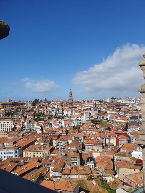 Porto: Private Full-Day City Tour - Key Points / Takeaways
