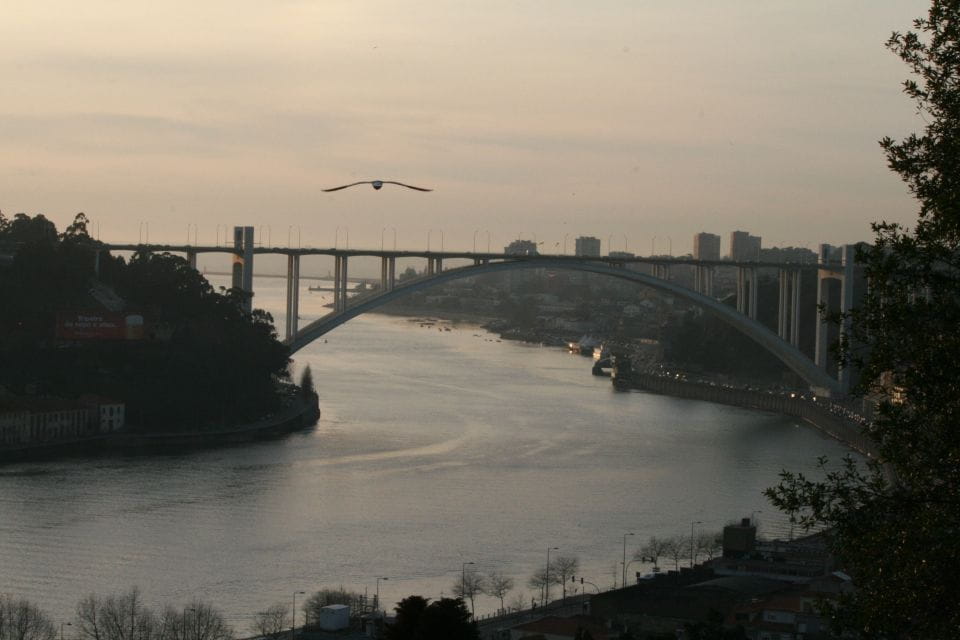 Porto: Private Full-Day Tour - History and Art of Porto