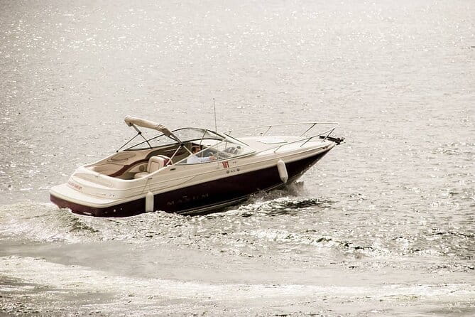 Porto: Private Tour to D. Luís Bridge (1h), group price up to 6px - Practical Tips for Booking and Enjoying the Tour