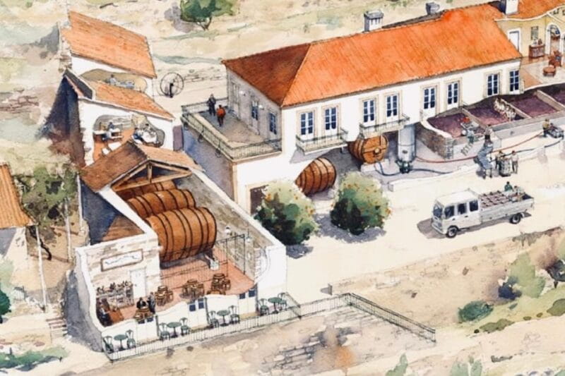 Porto: private tour with premium tasting at Fonseca cellars - Who Will Love This Tour?