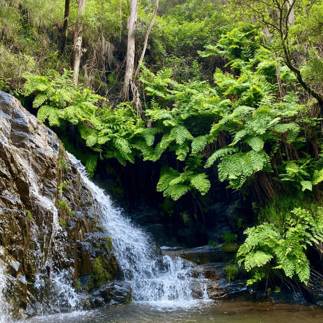 Porto Rio Mau: Hiking, Waterfalls, Lunch. - Price and Value Analysis