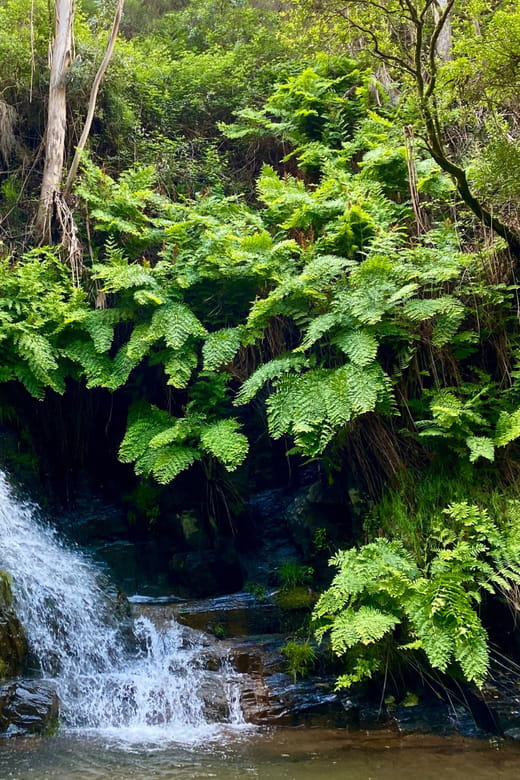 Porto Rio Mau: Hiking, Waterfalls, Lunch. - FAQ