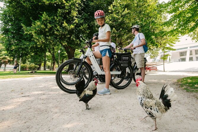Porto Riverbank E-Bike Tour - Atlantic Coast, Gardens - Who Will Love This Tour?