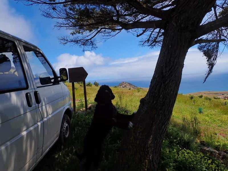 Porto Santo Island: Pico do Facho Panoramic Trail - Why This Trail is a Hidden Gem for Visitors