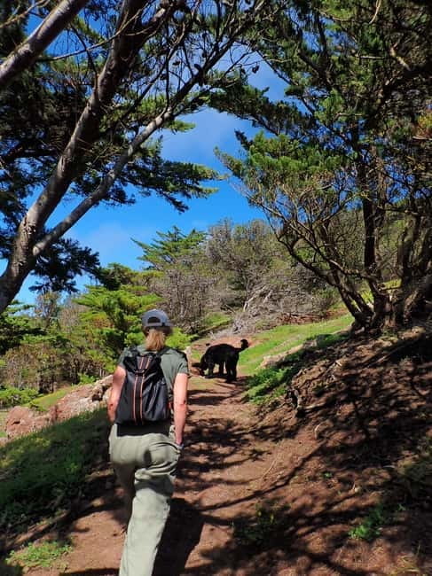 Porto Santo Island: Pico do Facho Panoramic Trail - Price and Value