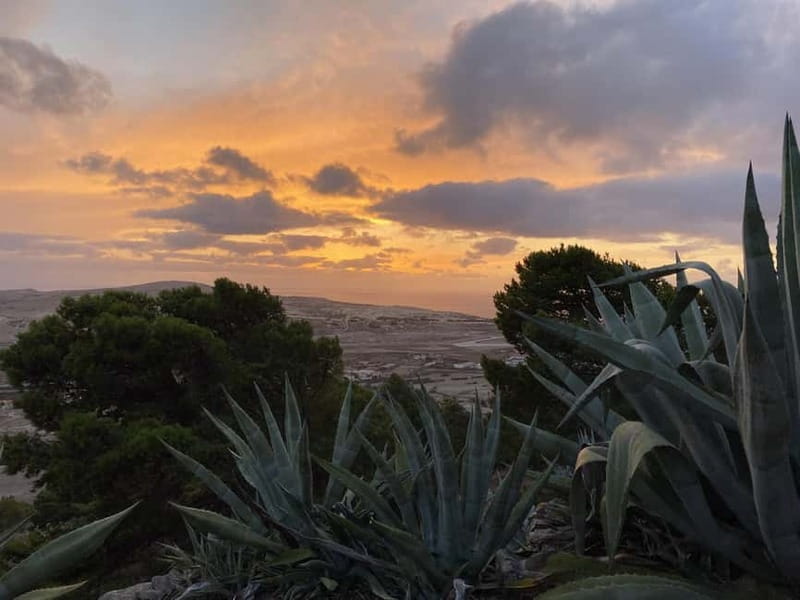 Porto Santo: Photographic and discovery full island tour. - Who Should Consider This Tour?