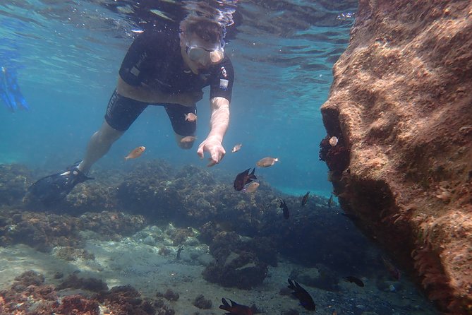 Porto Santo Snorkeling Tour - Cancellation Policy