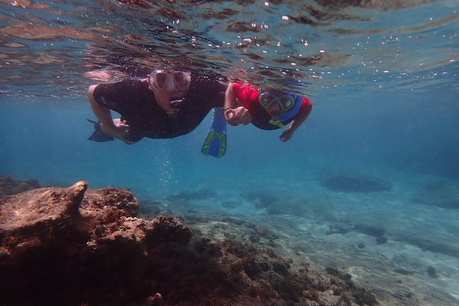Porto Santo Snorkeling Tour - Why Choose This Tour