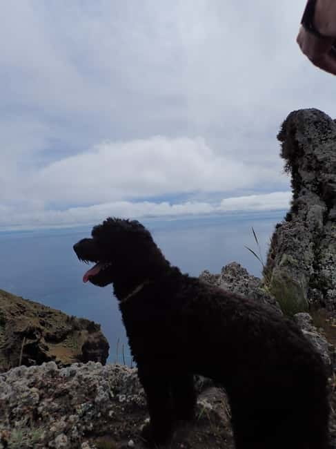 Porto Santo: Terra Chã and Pico Branco Hiking tour - Discovering Porto Santo’s Natural Beauty: An Honest Review