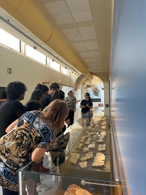 Porto Selvaggio (Nardò-LE): Archaeological Tour - The Journey Begins at Nardò’s Museum of Prehistory