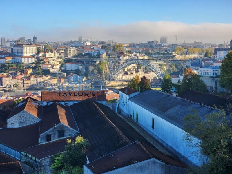 Porto: Sightseeing Tour - Who will love this tour?