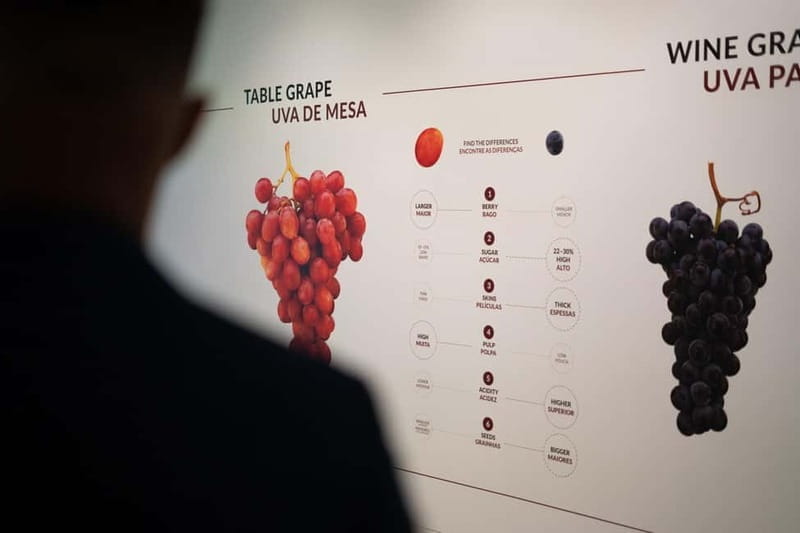 Porto: Taylors Port Cellar Tour & WOW Wine Experience - Final Thoughts