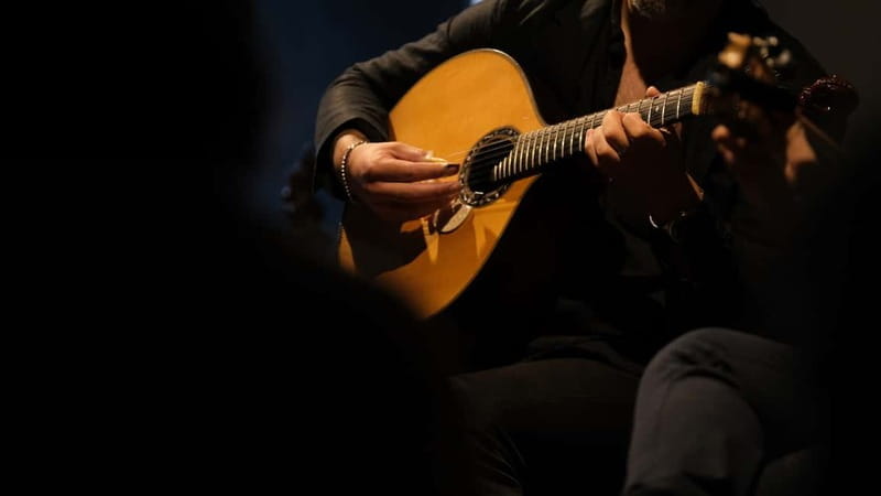 Porto: The highest-rated traditional fado concert (downtown) - A Genuine Fado Night in Porto: An In-Depth Review